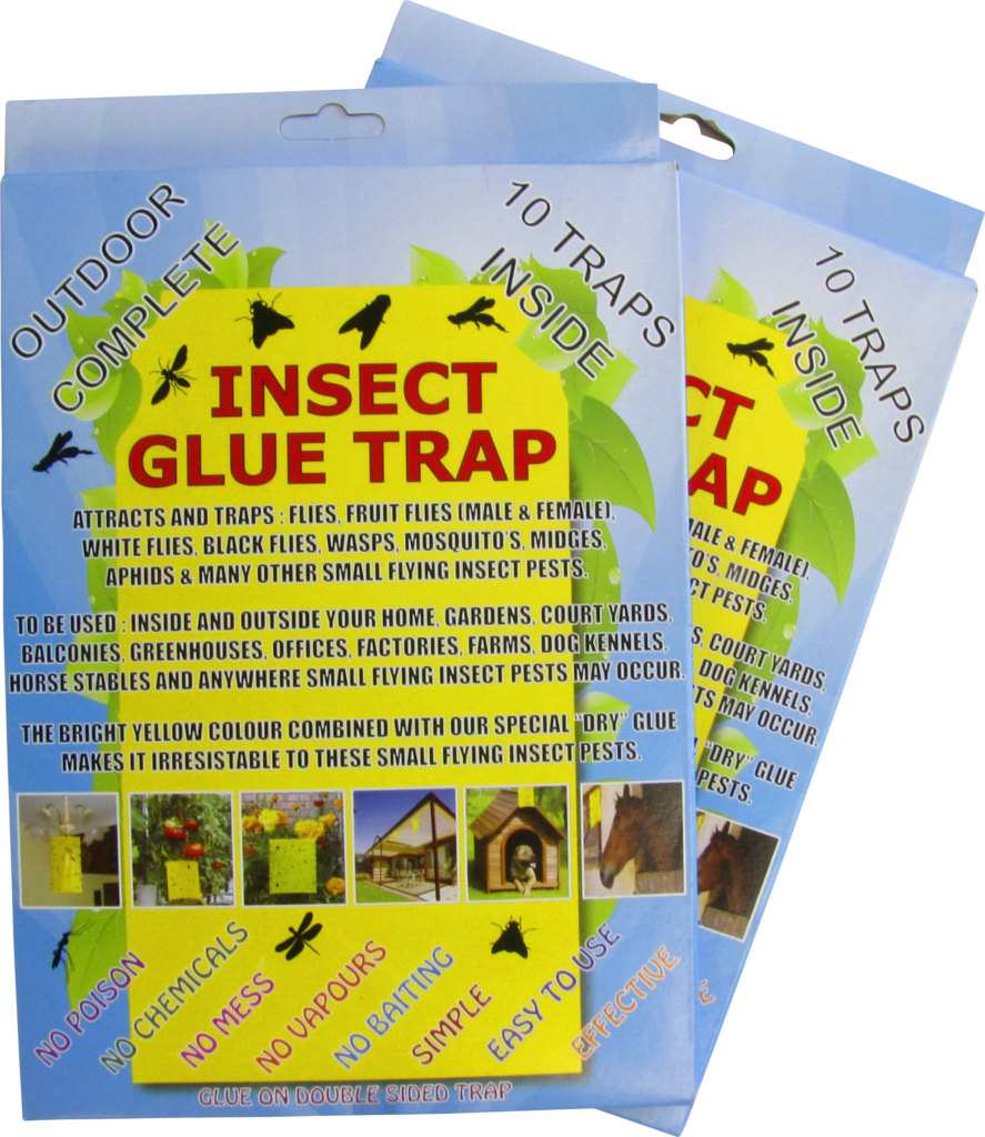 Insect Glue Traps