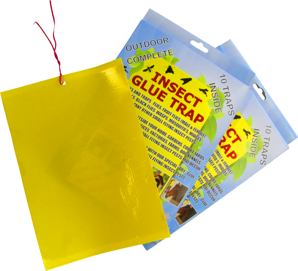 Insect Glue Traps